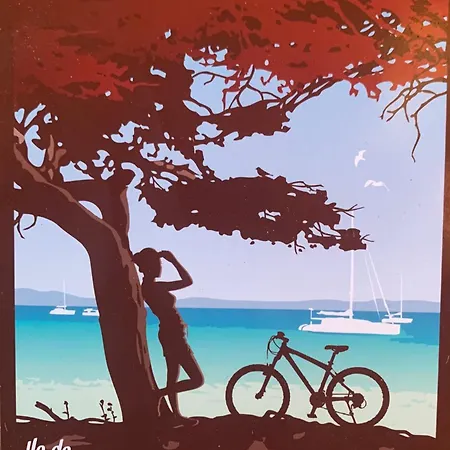 Voilier à Porquerolles Hyères